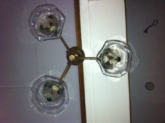 Arts & Crafts Three Branch Brass Ceiling Light with Petal Fitters - Thumbnail 6