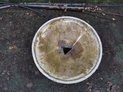 Willy Guhl, Eternit, Garden Planter with Ball Stand for the Dish Shaped Planter - Thumbnail 7