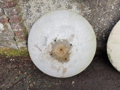 Willy Guhl for Eternit, 2 Pairs Mid-Century Modern Concrete Garden Dish Planters - Thumbnail 5