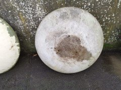 Willy Guhl for Eternit, 2 Pairs Mid-Century Modern Concrete Garden Dish Planters - Thumbnail 7