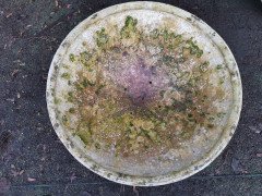 Willy Guhl for Eternit, 2 Pairs Mid-Century Modern Concrete Garden Dish Planters - Thumbnail 11