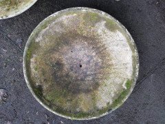 Willy Guhl for Eternit, 2 Pairs Mid-Century Modern Concrete Garden Dish Planters - Thumbnail 14