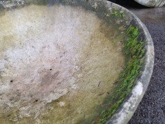 Willy Guhl for Eternit, 2 Pairs Mid-Century Modern Concrete Garden Dish Planters - Thumbnail 15
