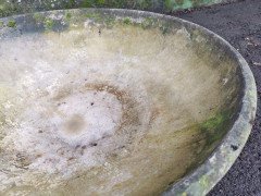 Willy Guhl for Eternit, 2 Pairs Mid-Century Modern Concrete Garden Dish Planters - Thumbnail 17