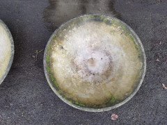 Willy Guhl for Eternit, 2 Pairs Mid-Century Modern Concrete Garden Dish Planters - Thumbnail 20
