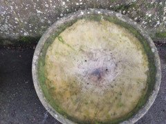 Willy Guhl for Eternit, Mint Pair of Mid-Century Modern Concrete Garden Planters - Thumbnail 9