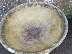 Willy Guhl for Eternit, Mint Pair of Mid-Century Modern Concrete Garden Planters - Thumbnail 11
