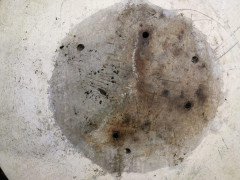 Willy Guhl for Eternit, Mint Pair of Mid-Century Modern Concrete Garden Planters - Thumbnail 13