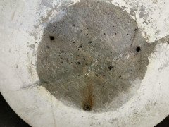 Willy Guhl for Eternit, Mint Pair of Mid-Century Modern Concrete Garden Planters - Thumbnail 14
