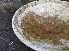Willy Guhl for Eternit, a Mid-Century Modern Concrete Garden Planter with Stand - Thumbnail 11