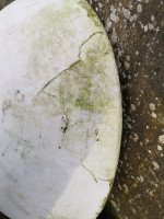 Willy Guhl for Eternit, a Mid-Century Modern Concrete Garden Planter with Stand - Thumbnail 14