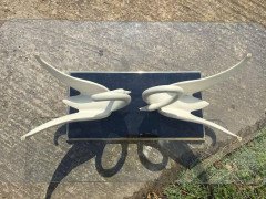 Maison Jansen, Mid-Century Composite Swan Coffee Table with Glass Top - Thumbnail 6