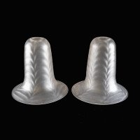 A Pair of Frosted Glass Shades with Feather-Like Embossed Pattern & Flared Rims