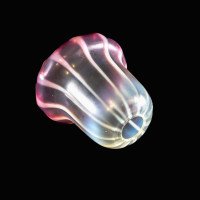 Striped Vaseline Glass Shade with Ribbed Bell Shape & Soft Pink Accents - Thumbnail 8