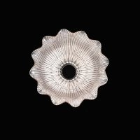 Set of Six Clear Ribbed Glass Shades with Bell Shape and Ruffled Rims c.1900 - Thumbnail 15