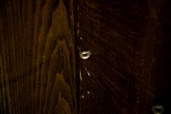 An Art Deco Dark & Limed Oak Glazed Bookcase with Carved Floral Decoration - Thumbnail 13