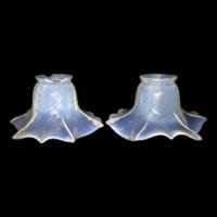 A Pair of Vaseline Shade #3