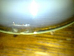 Rare set of eight Vaseline shade - Thumbnail 6
